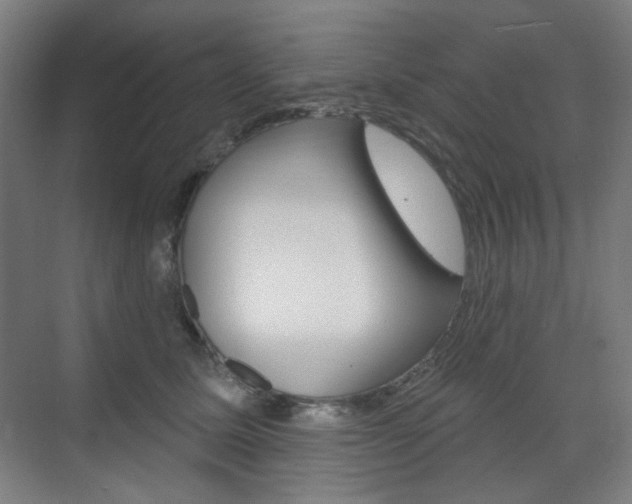 X0000071800611200606301011