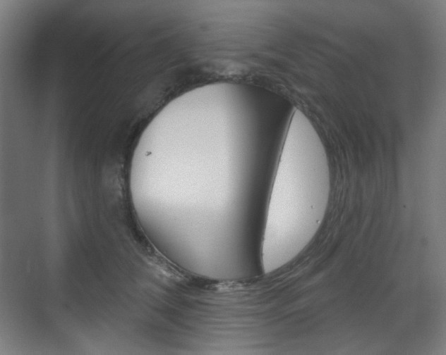X0000071800612200606301011