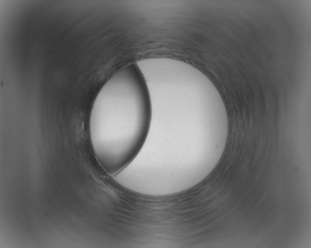 X0000071800615200606301011