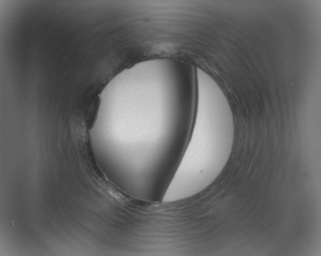 X0000071800617200606301011