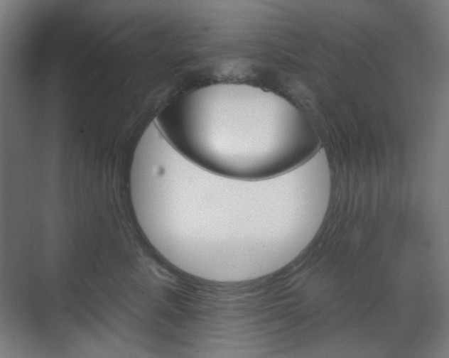 X0000071800619200606301011