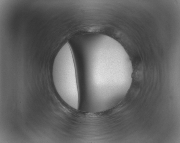 X0000071800620200606301011