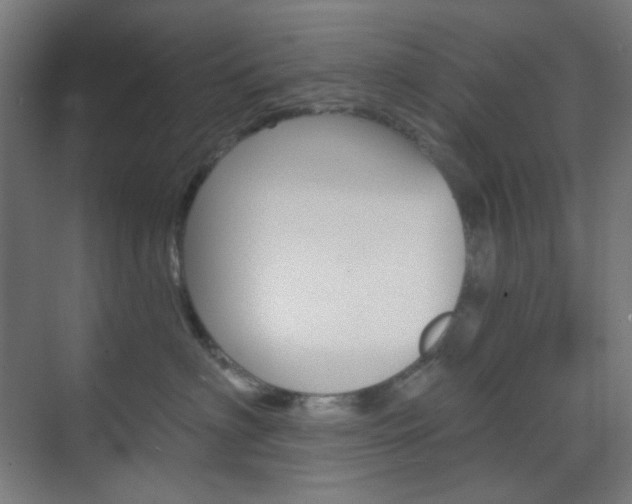 X0000071800622200606301011