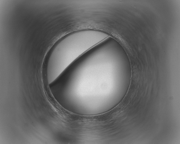 X0000071800626200606301010
