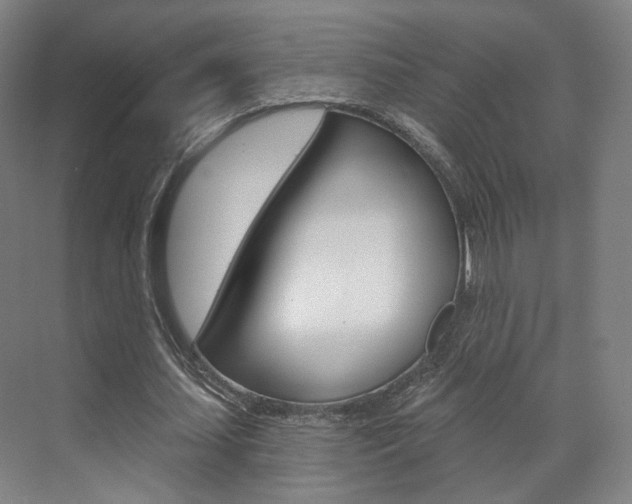 X0000071800627200606301010