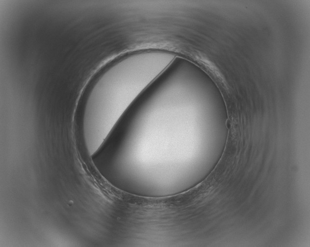 X0000071800628200606301010