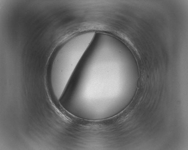 X0000071800629200606301010