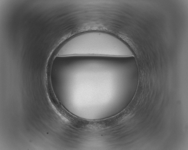 X0000071800630200606301010
