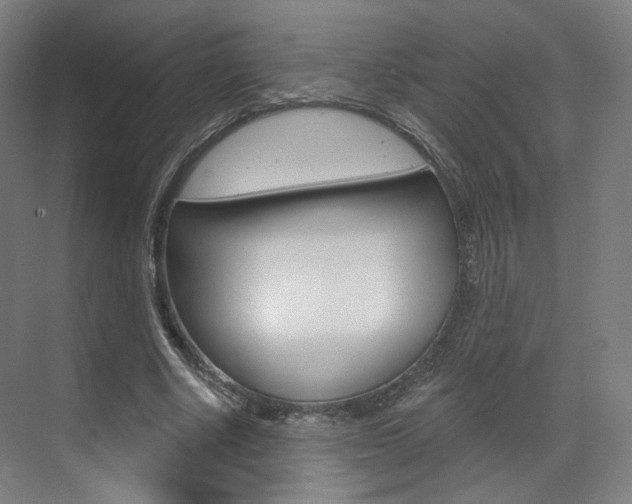 X0000071800634200606301010