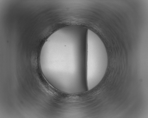 X0000071800642200606301011