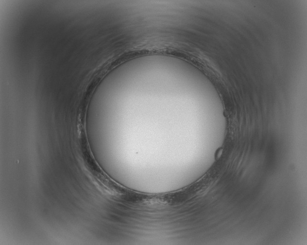 X0000071800644200606301011