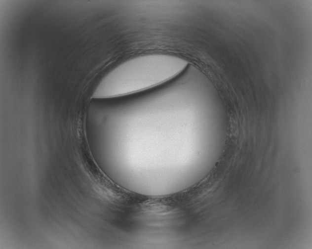 X0000071800648200606301011
