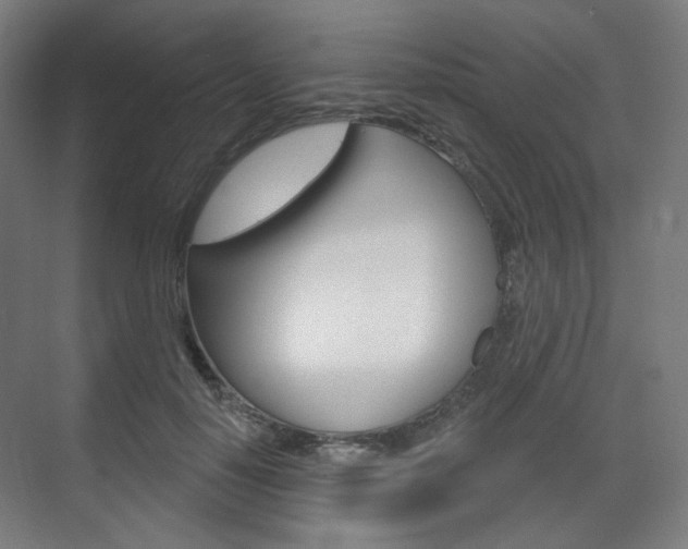 X0000071800650200606301011