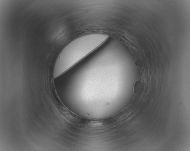 X0000071800651200606301011