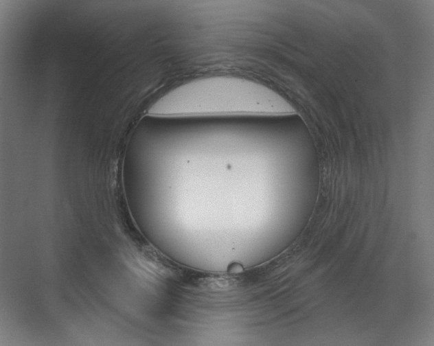 X0000071800652200606301011