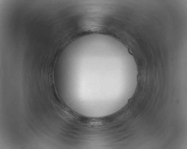 X0000071800653200606301011