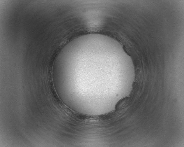 X0000071800655200606301011