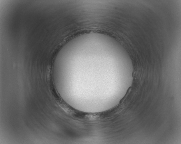 X0000071800660200606301011