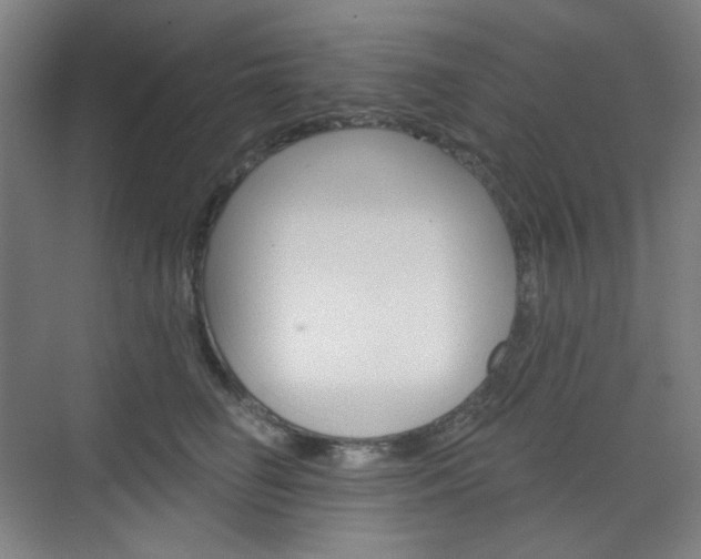 X0000071800662200606301011