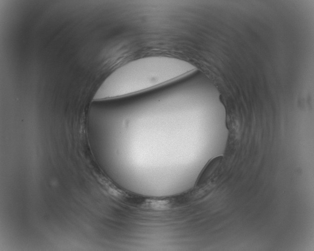 X0000071800665200606301011