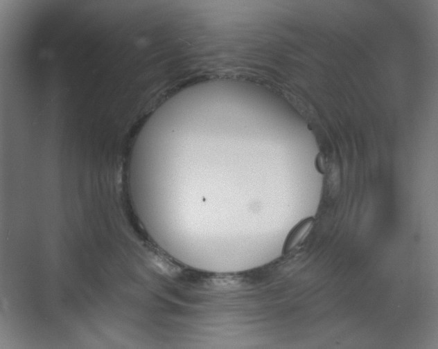 X0000071800668200606301011