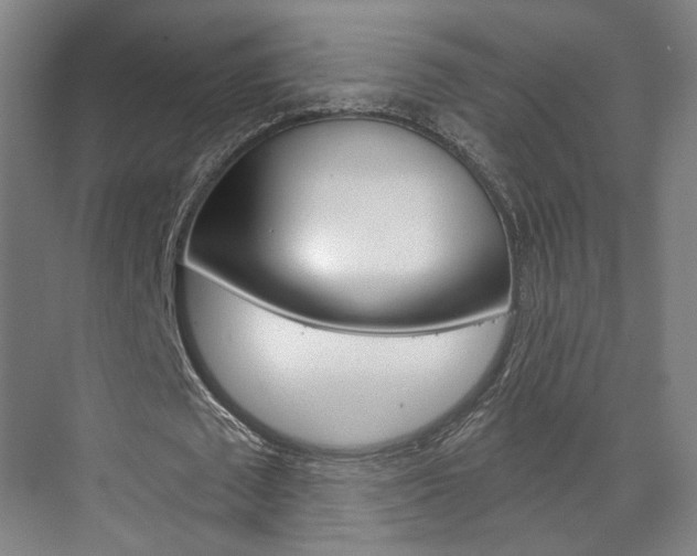 X0000071800673200606301010