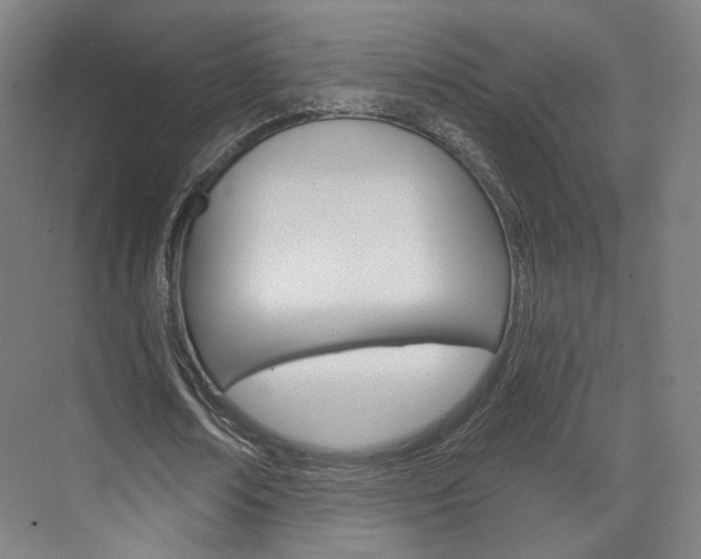 X0000071800674200606301010