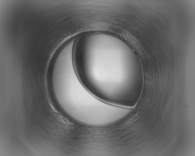 X0000071800676200606301010