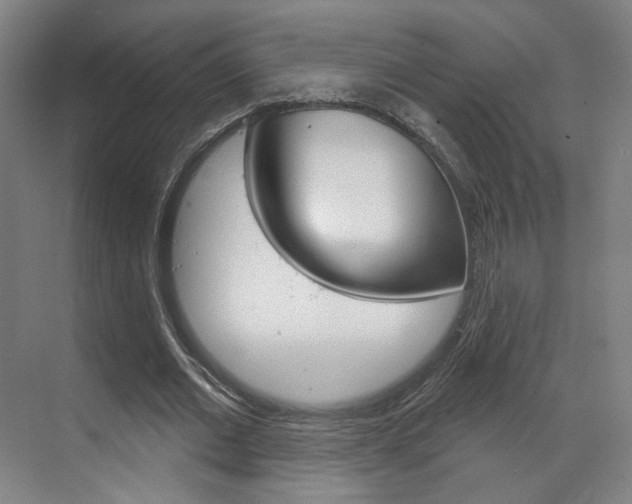 X0000071800677200606301010
