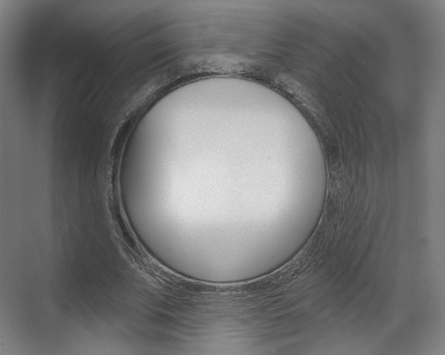 X0000071800679200606301010