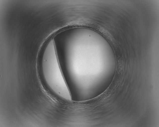 X0000071800680200606301010