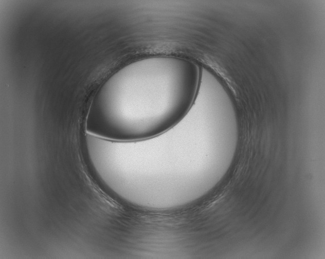X0000071800681200606301010