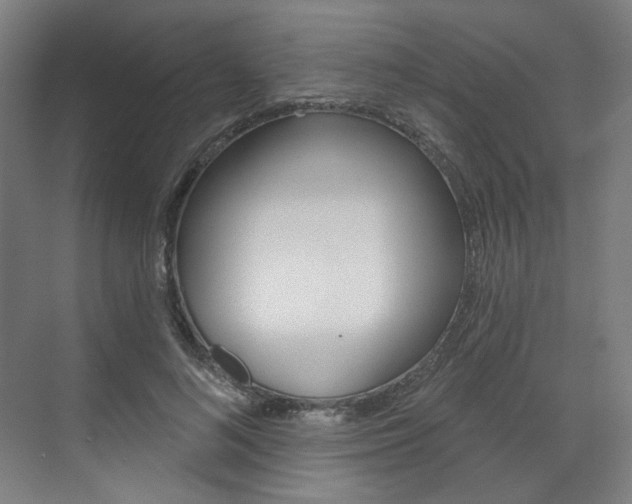 X0000071800692200606301010