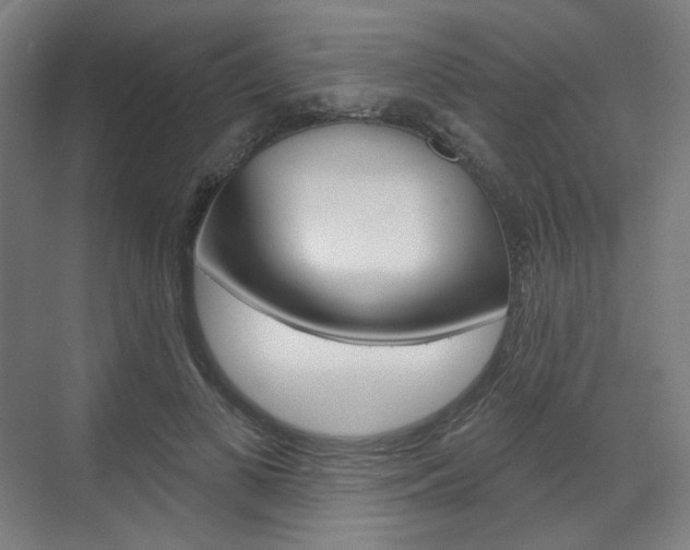X0000071800693200606301010