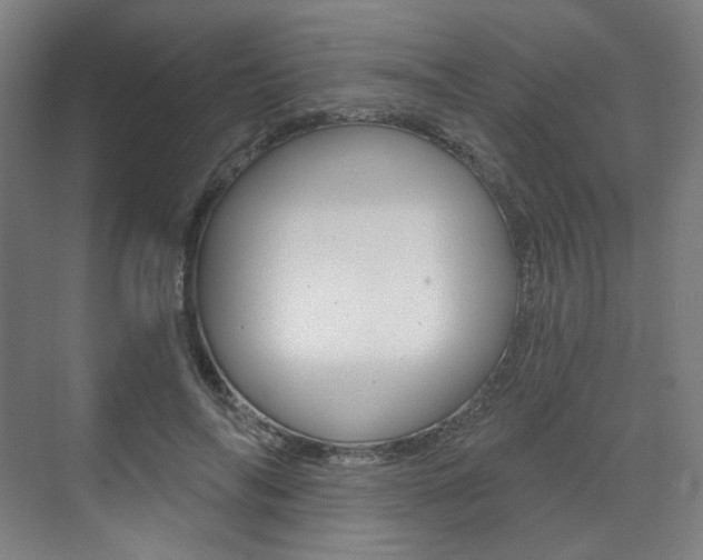 X0000071800694200606301010