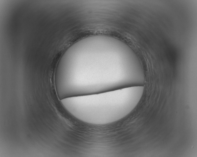 X0000071800695200606301010