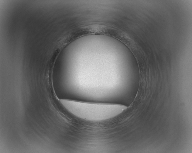 X0000071800696200606301010