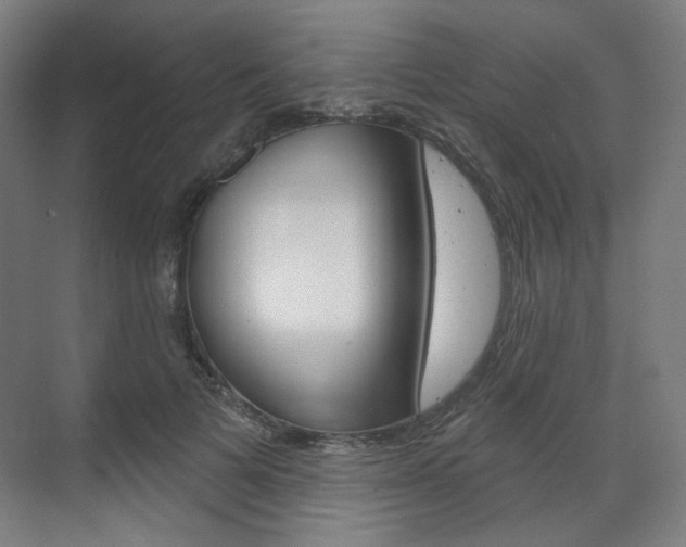 X0000071800697200606301010