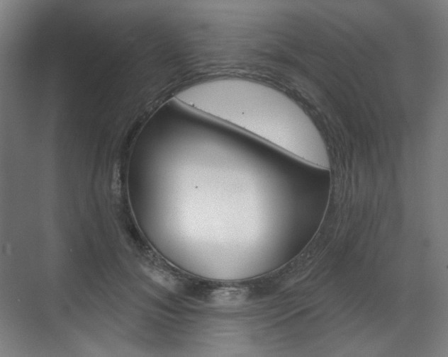 X0000071800700200606301010