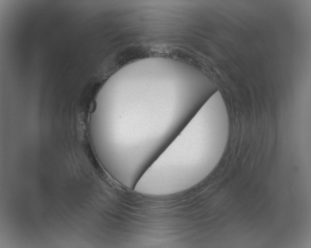 X0000071800707200606301010