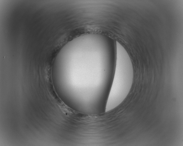 X0000071800712200606301010