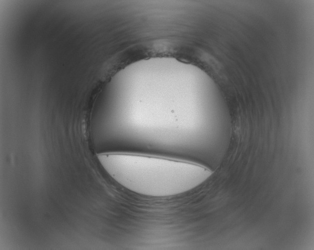 X0000071800715200606301010