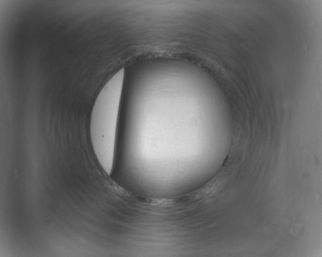 X0000071800720200606301009