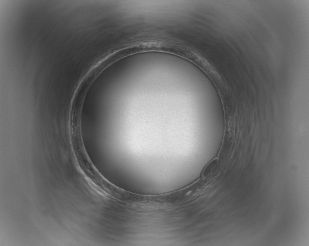 X0000071800722200606301009