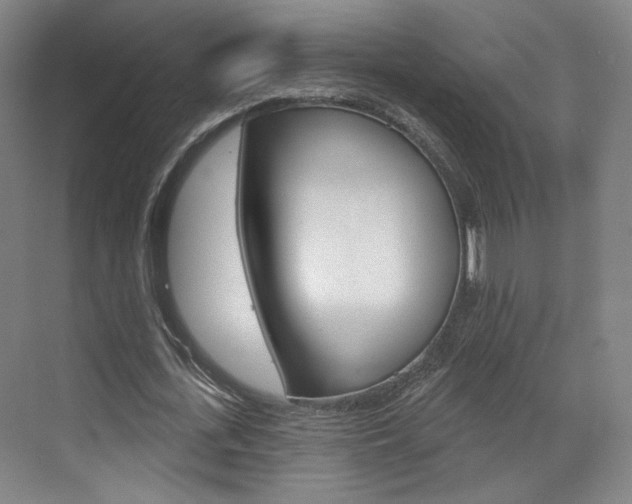 X0000071800723200606301009