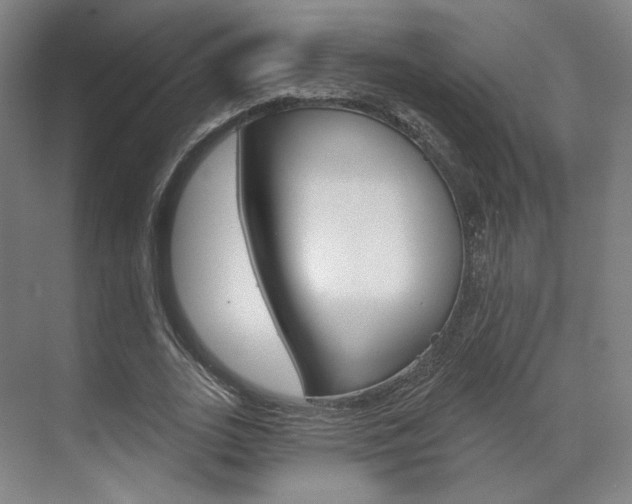 X0000071800727200606301009