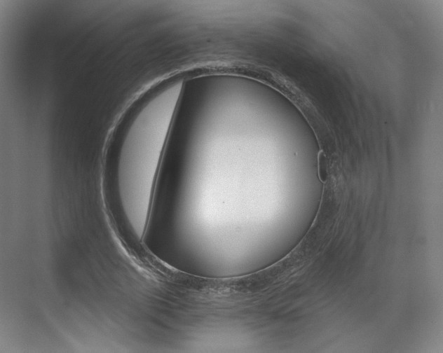 X0000071800728200606301009