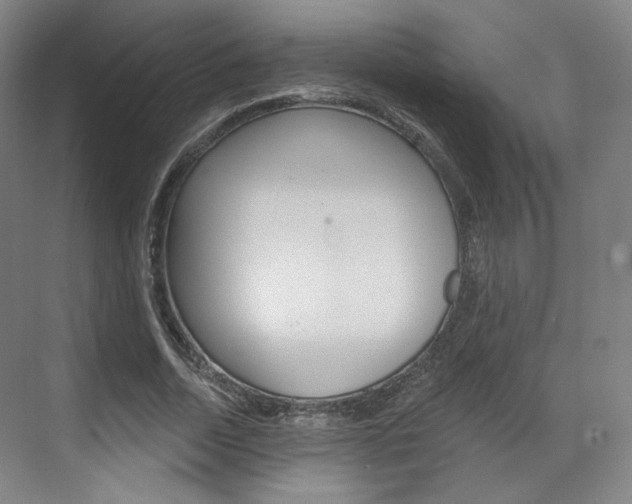 X0000071800730200606301009