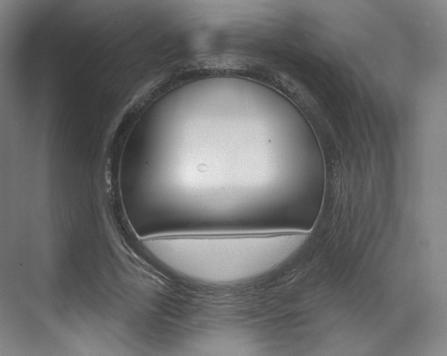 X0000071800731200606301009