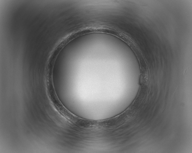 X0000071800732200606301009